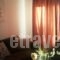 Irini Apartments Anaxos_best deals_Apartment_Aegean Islands_Lesvos_Petra