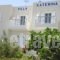 Villa Katerina Studios & Apartments_accommodation_in_Villa_Cyclades Islands_Syros_Syrosora