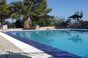 Villa Gorgona_accommodation_in_Villa_Piraeus Islands - Trizonia_Spetses_Spetses Chora