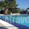 Villa Gorgona_accommodation_in_Villa_Piraeus Islands - Trizonia_Spetses_Spetses Chora