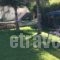 Villa Joannas_best deals_Villa_Ionian Islands_Lefkada_Vasiliki