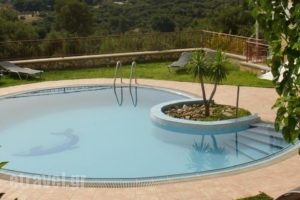 Villa Chrysa_accommodation_in_Villa_Crete_Chania_Fournes