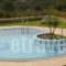 Villa Chrysa_accommodation_in_Villa_Crete_Chania_Fournes