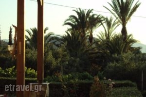 Villa Katerina_best prices_in_Villa_Crete_Lasithi_Makrys Gialos