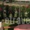 Ktima Amitsa Studios & Apartments_best deals_Apartment_Macedonia_Halkidiki_Toroni