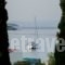 Athina Studio Apartments_best deals_Apartment_Aegean Islands_Samos_Samos Rest Areas