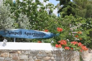 Ampeli Apartments_holidays_in_Apartment_Cyclades Islands_Paros_Paros Chora