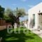 Villa Blue Coast_best deals_Villa_Central Greece_Attica_Athens