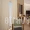 Athens Lotus Apartments_best prices_in_Apartment_Central Greece_Attica_Athens