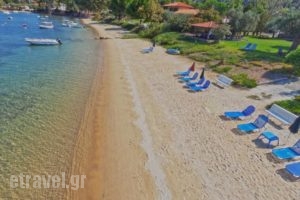 Anna Karra Studios & Apartments_best deals_Apartment_Macedonia_Halkidiki_Chalkidiki Area