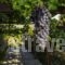 Villa Palm River_best deals_Villa_Crete_Chania_Sfakia