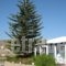 Kounados Apartments_best prices_in_Apartment_Cyclades Islands_Paros_Paros Chora