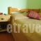 Thekla Apartments_best deals_Apartment_Ionian Islands_Kefalonia_Kefalonia'st Areas