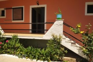 Thekla Apartments_accommodation_in_Apartment_Ionian Islands_Kefalonia_Kefalonia'st Areas