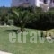 Villa K_best deals_Villa_Central Greece_Attica_Lavrio