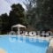 Ammos Villa_lowest prices_in_Villa_Sporades Islands_Alonnisos_Patitiri