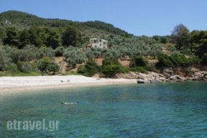 Ammos Villa_holidays_in_Villa_Sporades Islands_Alonnisos_Patitiri