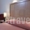 Parnon Hotel_best deals_Hotel_Central Greece_Attica_Athens