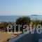 Villa Zefiros_accommodation_in_Villa_Cyclades Islands_Andros_Andros City