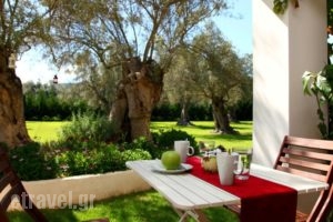 Olivastro Villa_holidays_in_Villa_Ionian Islands_Lefkada_Lefkada Chora