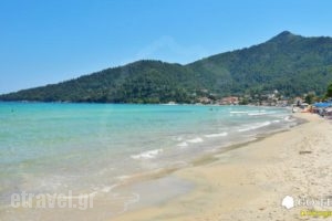 Green Sea Apartments_best deals_Apartment_Aegean Islands_Thasos_Thasos Chora