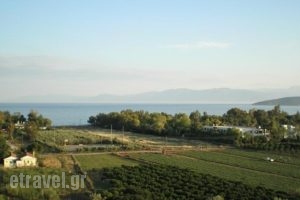 Christina Apartments_best prices_in_Apartment_Peloponesse_Argolida_Nafplio