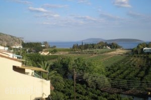 Christina Apartments_lowest prices_in_Apartment_Peloponesse_Argolida_Nafplio