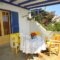 Betty Apartments_lowest prices_in_Apartment_Cyclades Islands_Antiparos_Antiparos Chora