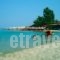 Sivilla_lowest prices_in_Villa_Macedonia_Halkidiki_Kassandreia