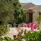 Villas Lefkothea_holidays_in_Villa_Crete_Rethymnon_Plakias