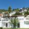 Villa Bienvenue_holidays_in_Villa_Thessaly_Magnesia_Pinakates