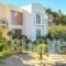 Renata's Villas_travel_packages_in_Dodekanessos Islands_Karpathos_Karpathosora