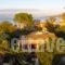 Eleni Apartments_holidays_in_Apartment_Ionian Islands_Corfu_Roda