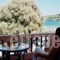 Elena Apartments_holidays_in_Apartment_Crete_Chania_Almyrida