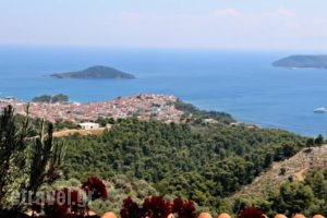 Agia Kali Villas_accommodation_in_Villa_Sporades Islands_Skiathos_Skiathoshora