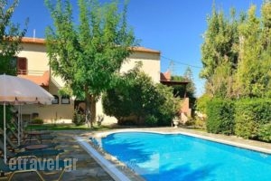 Villa Stella_accommodation_in_Villa_Crete_Chania_Tavronitis