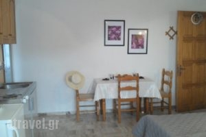 Villa Poseidon_holidays_in_Villa_Aegean Islands_Lesvos_Skala Eressou