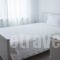 Avgerou Studios and Apartments_best deals_Apartment_Macedonia_Halkidiki_Poligyros