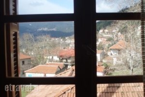 Elati Apartments_accommodation_in_Apartment_Thessaly_Trikala_Elati