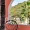 Evergreen Apartments_best deals_Apartment_Ionian Islands_Corfu_Agios Gordios