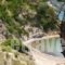 Celia Apartments_best deals_Apartment_Ionian Islands_Zakinthos_Zakinthos Chora