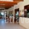 Celia Apartments_holidays_in_Apartment_Ionian Islands_Zakinthos_Zakinthos Chora