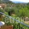 Kefalas Apartments_holidays_in_Apartment_Epirus_Preveza_Sarakino