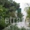 Astypalea Villas_best deals_Villa_Dodekanessos Islands_Astipalea_Astipalea Chora