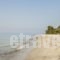 Villa Annoula_best deals_Villa_Macedonia_Halkidiki_Kassandreia