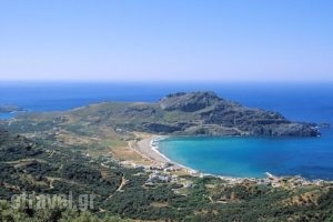 Morpheas Apartments_best prices_in_Apartment_Crete_Rethymnon_Plakias