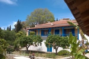 Sipsas Villas_holidays_in_Villa_Thessaly_Magnesia_Pilio Area