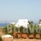 Sunshine Apartments_travel_packages_in_Crete_Heraklion_Malia