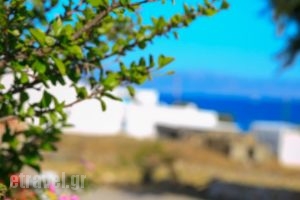 Nicos Studios & Apartments_holidays_in_Apartment_Cyclades Islands_Paros_Paros Chora