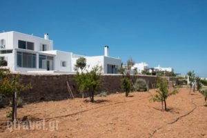 Villa Golden View_best prices_in_Villa_Cyclades Islands_Antiparos_Antiparos Chora